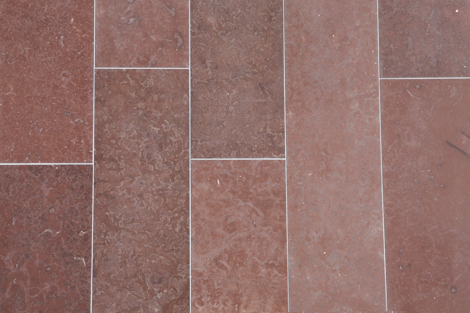 Kalksteinliesen Ölandstein aestivate