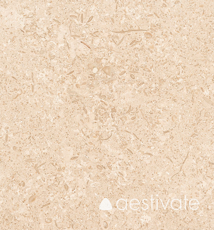 FL14356XXX_Kalksteinfliesen-Beige-Oliva-Grolla-Beige-gebuerstet_3-with-logo-1.jpg
