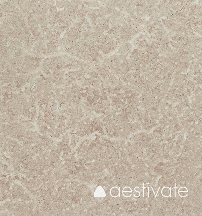 FL14556XXX_Kalksteinfliesen-Oelandstein-Gillberga-graubraun-G1-Oeland-Gra-G1-gebuerstet_1-edited-1.jpg Kalksteinfliesen Ölandstein Gillberga graubraun G1 aestivate