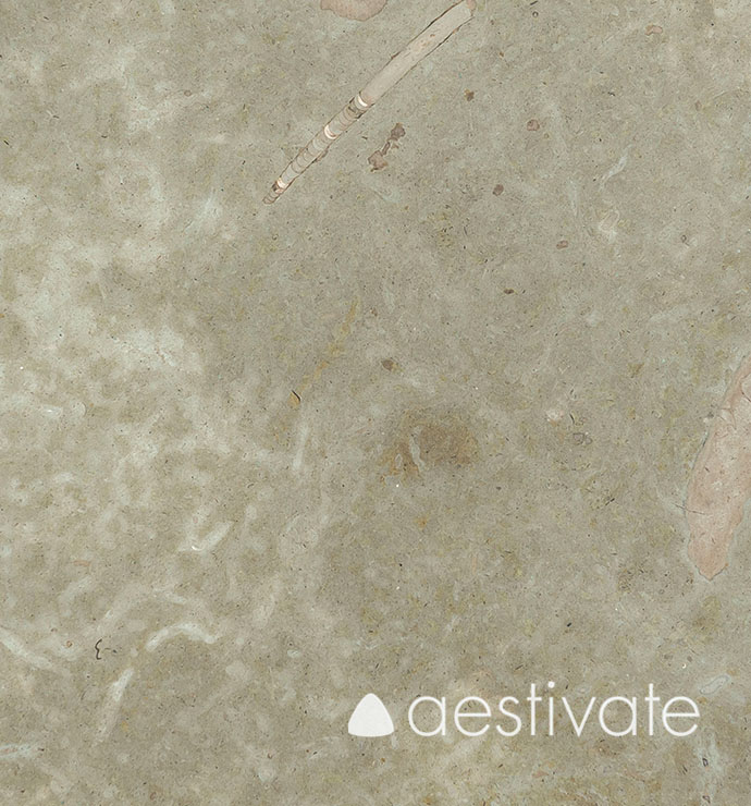 FL14615XXX_Kalksteinfliesen-Oelandstein-Gillberga-graumix-G2-Oeland-Gra-G2-geschliffen_7-edited-1-1.jpg Öland Kalkstein Gillberga graumix G2 aestivate