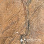 Marmorfliese Rainforest Brown satiniert aestivate