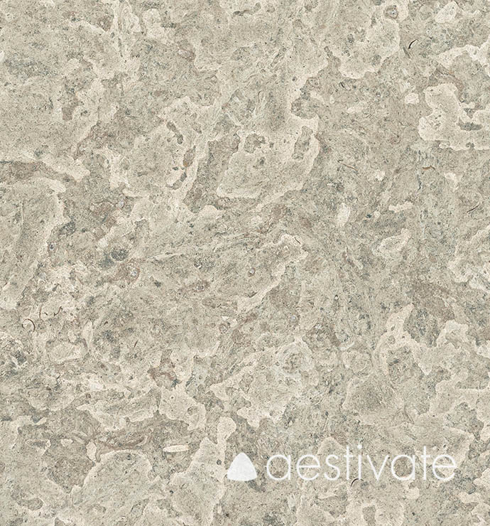 TP14915XXX_Kalksteinplatten-Oelandstein-Gillberga-hellgrau-Hors-Oeland-Hors-geschliffen_4-edited-1.jpg Kalksteinplatten Ölandstein Gillberga hellgrau Hors aestivate