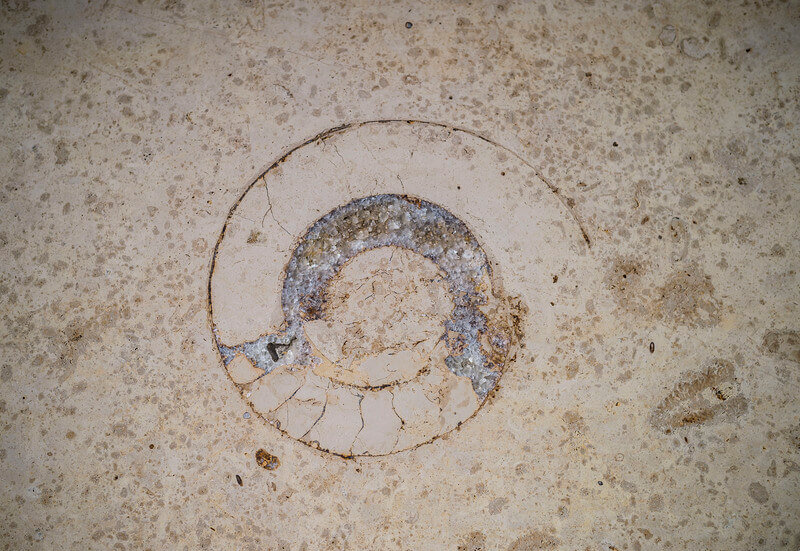 Fossil im Jura Kalkstein - aestivate Fossil Jura Zeit aesivate