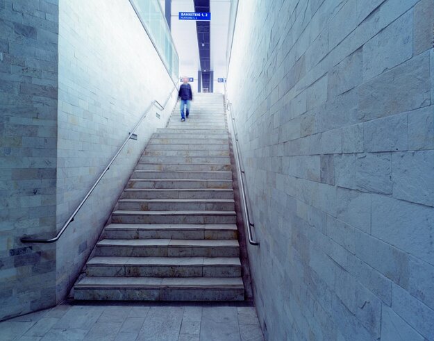 Fassade aus Klinkern aestivate