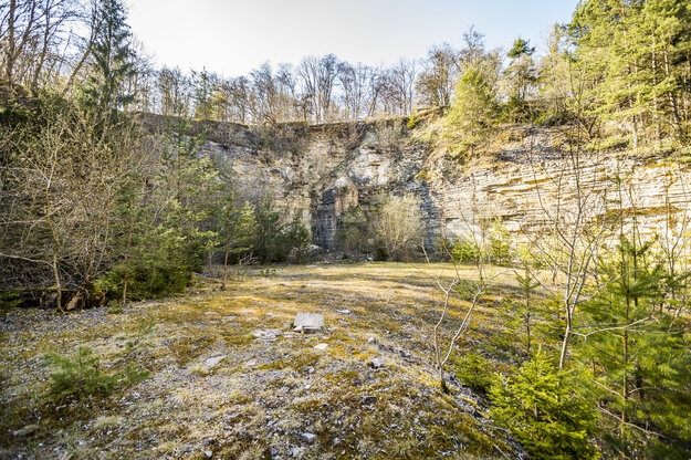 Rekultivierter Steinbruch aestivate